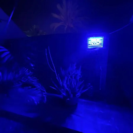 Rainbow Golf Bungalows, Gay Men-only 3*